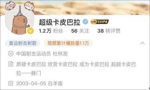 卡哥最新爆料视频大全下载,揭秘幕后真相，带你领略精彩瞬间